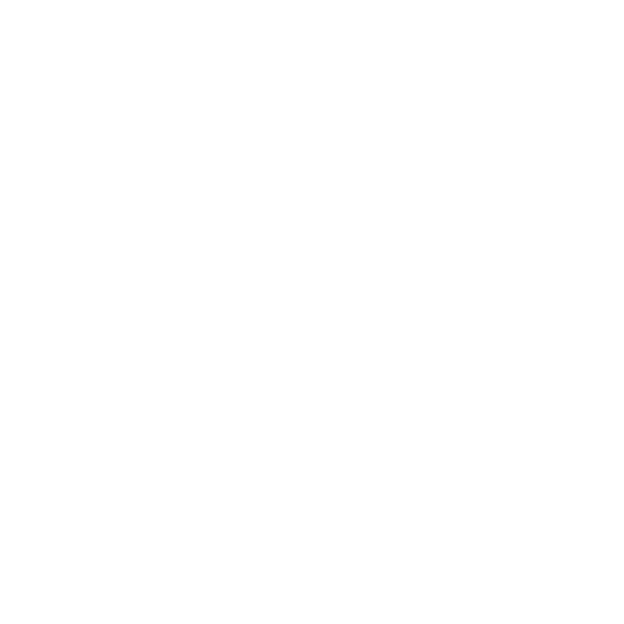LOGO 10 B